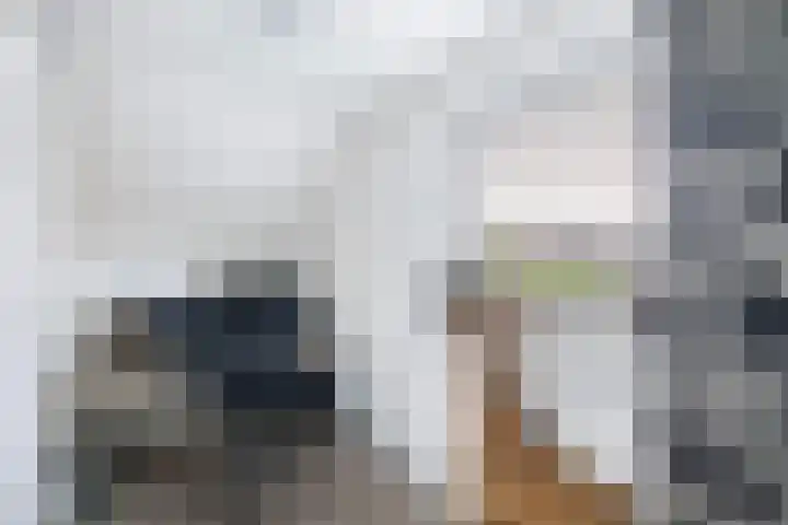 Kavelzoom 3 Marknesse thumbnail 44