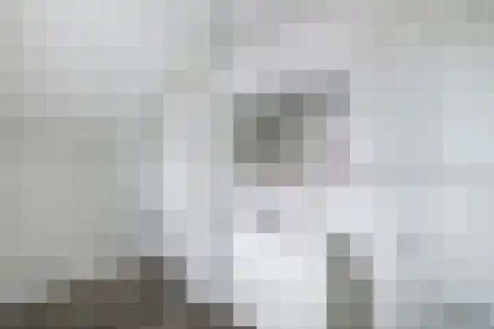 Kavelzoom 3 Marknesse thumbnail 47