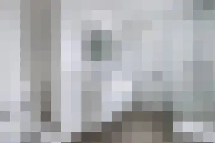 Kavelzoom 3 Marknesse thumbnail 48