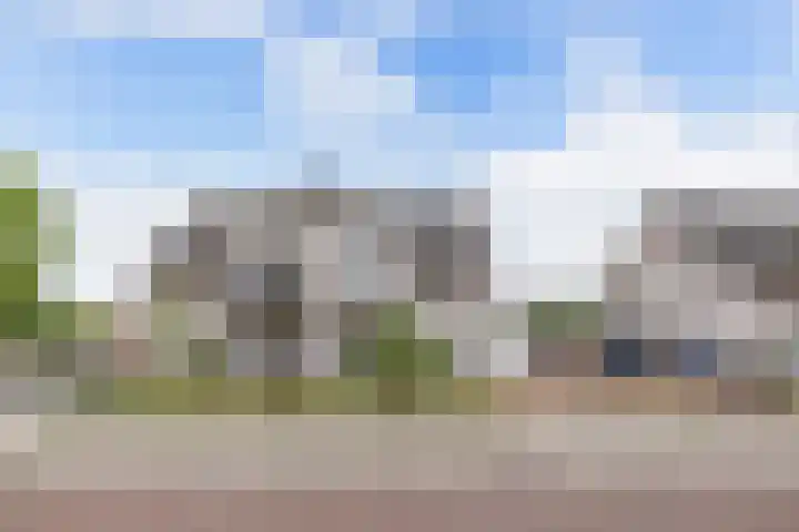 Kavelzoom 3 Marknesse thumbnail 5