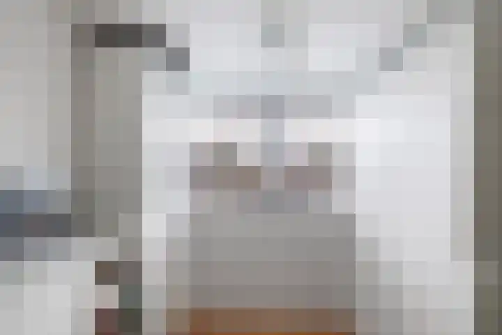 Kavelzoom 3 Marknesse thumbnail 50