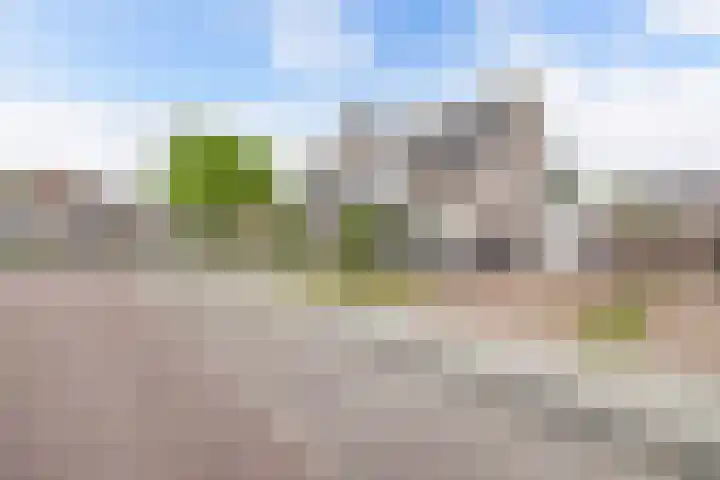 Kavelzoom 3 Marknesse thumbnail 7