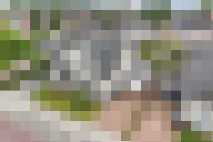 Kavelzoom 3 Marknesse thumbnail 8