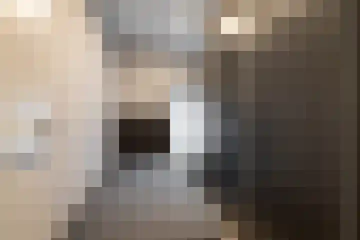 Kavinksbosch 21 Susteren thumbnail 11