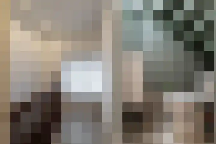 Kavinksbosch 21 Susteren thumbnail 12