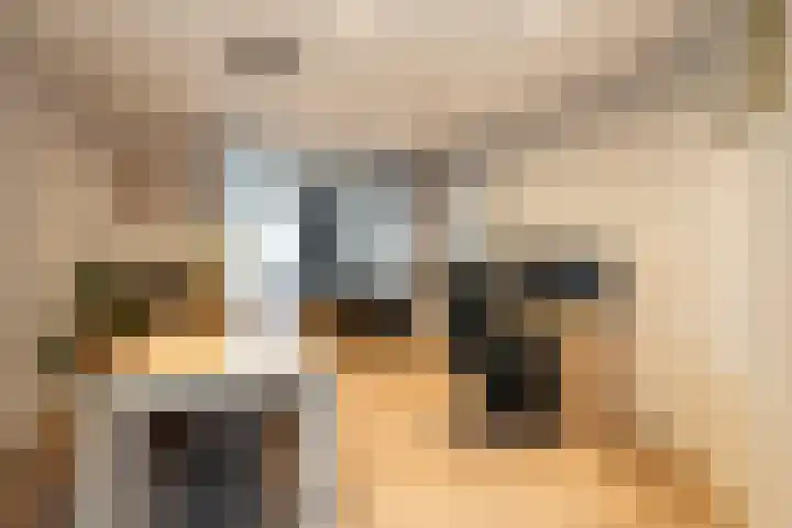 Kavinksbosch 21 Susteren thumbnail 5