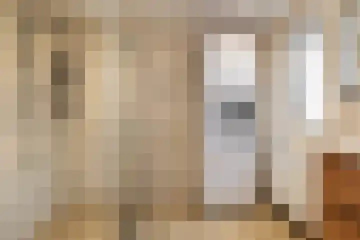 Kavinksbosch 21 Susteren thumbnail 7