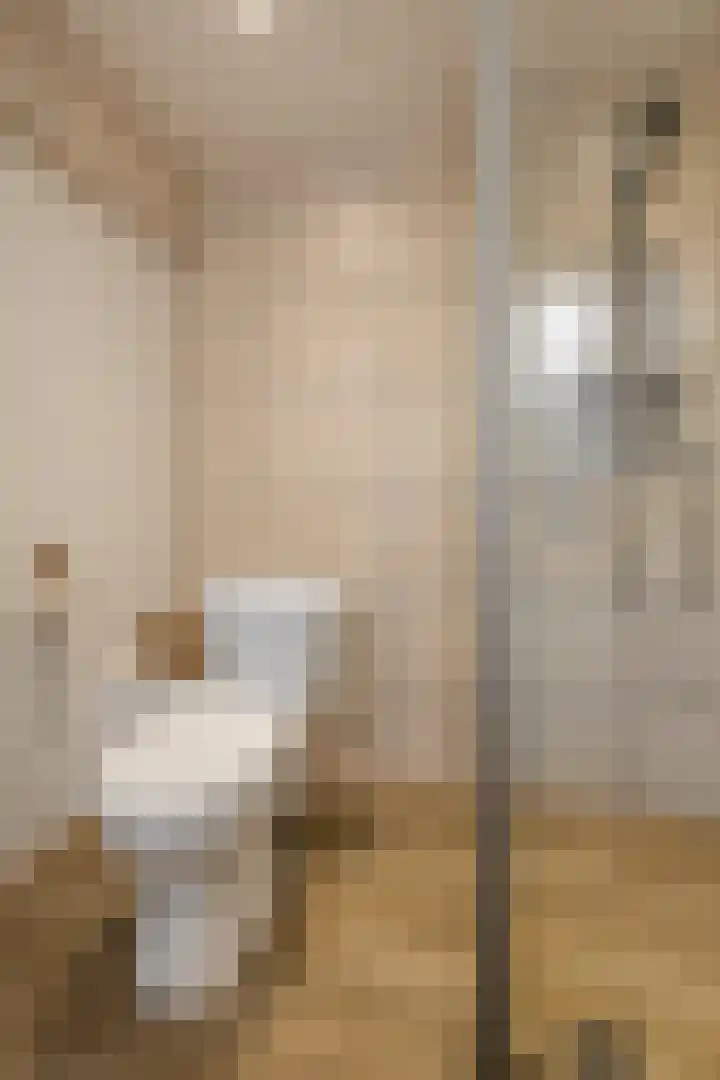 Kavinksbosch 21 Susteren thumbnail 8