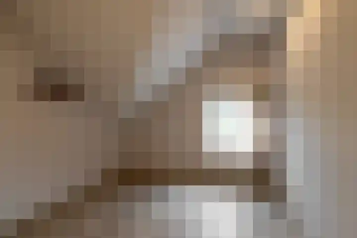 Kavinksbosch 21 Susteren thumbnail 9