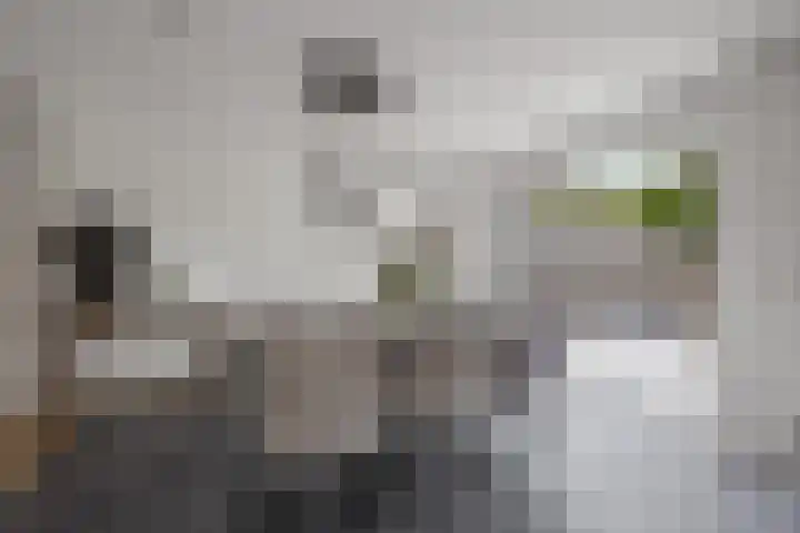 Kavreinsestraat 3 Vlijmen thumbnail 13