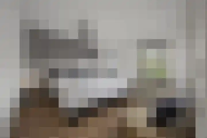 Kavreinsestraat 3 Vlijmen thumbnail 18