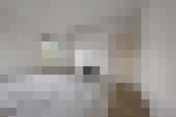 Kavreinsestraat 3 Vlijmen thumbnail 19