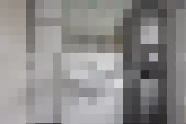 Kavreinsestraat 3 Vlijmen thumbnail 22