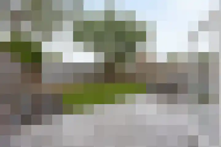 Kavreinsestraat 3 Vlijmen thumbnail 28