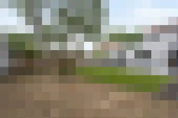 Kavreinsestraat 3 Vlijmen thumbnail 30