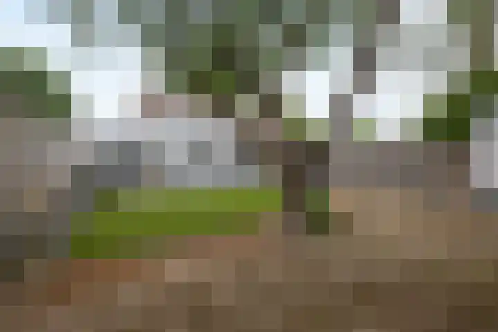 Kavreinsestraat 3 Vlijmen thumbnail 31