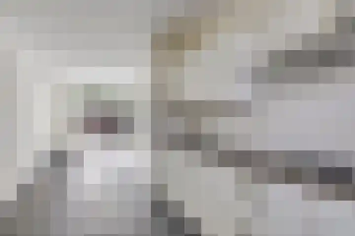 Kaweiseloop 7 Heesch thumbnail 13