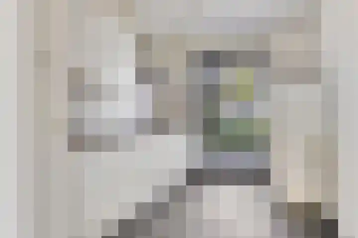 Kaweiseloop 7 Heesch foto 2