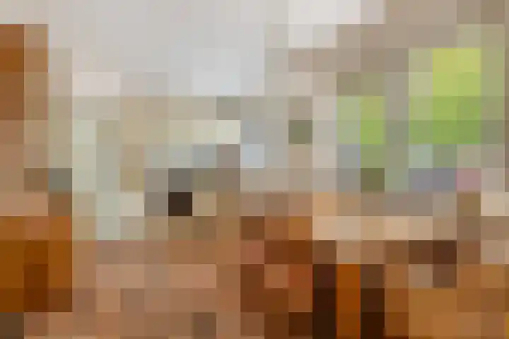 Kawoepersteeg 24 Ermelo thumbnail 13