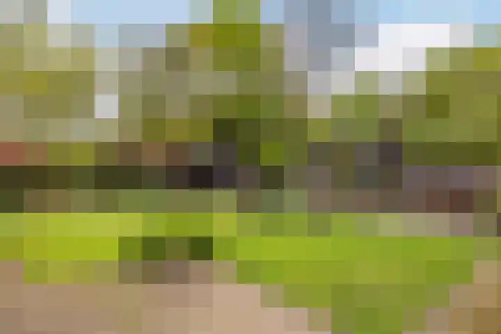 Kawoepersteeg 24 Ermelo thumbnail 34