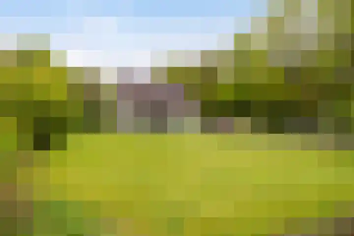 Kawoepersteeg 24 Ermelo thumbnail 39