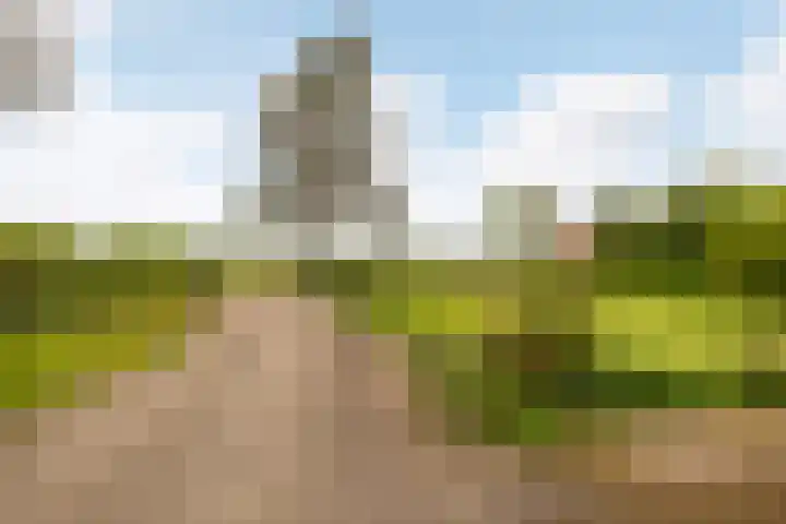 Kawoepersteeg 24 Ermelo thumbnail 41
