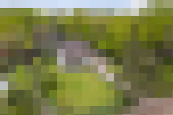 Kawoepersteeg 24 Ermelo thumbnail 42