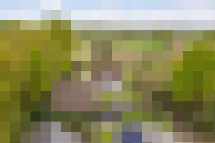 Kawoepersteeg 24 Ermelo thumbnail 43