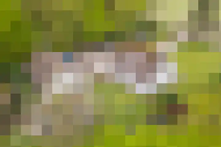 Kawoepersteeg 24 Ermelo thumbnail 44