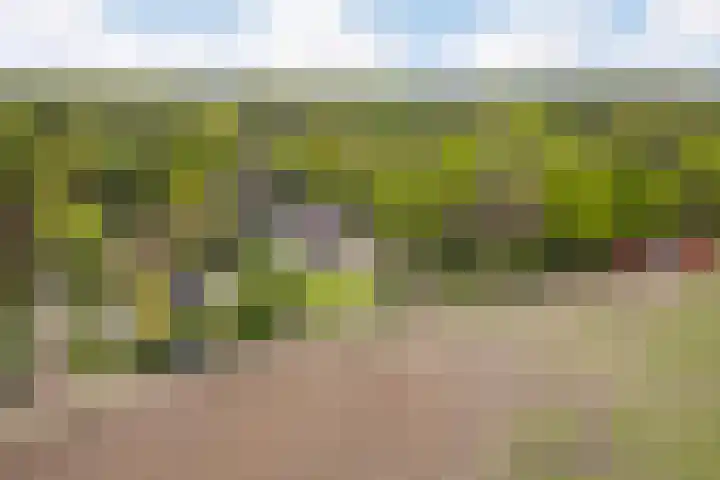 Kawoepersteeg 24 Ermelo thumbnail 47