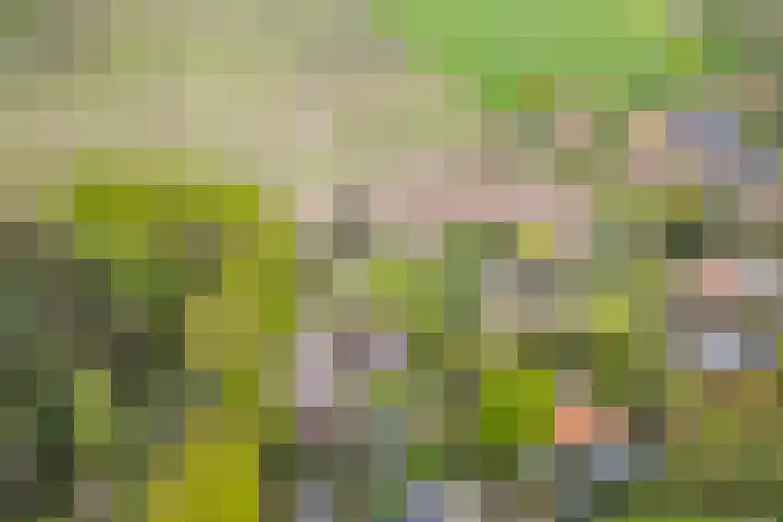 Kawoepersteeg 24 Ermelo thumbnail 51