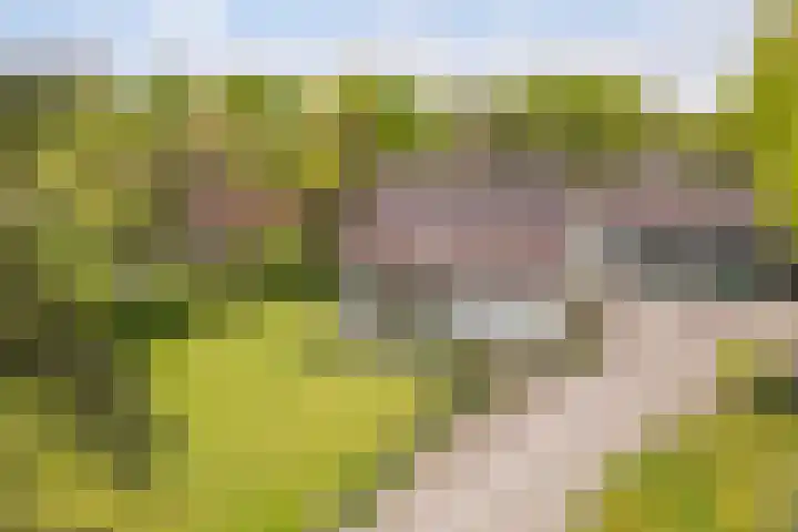 Kawoepersteeg 24 Ermelo thumbnail 59