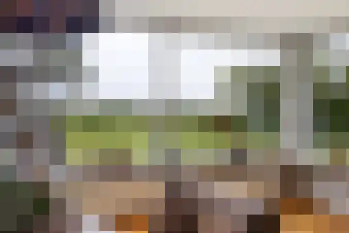 Kawoepersteeg 24 Ermelo thumbnail 7