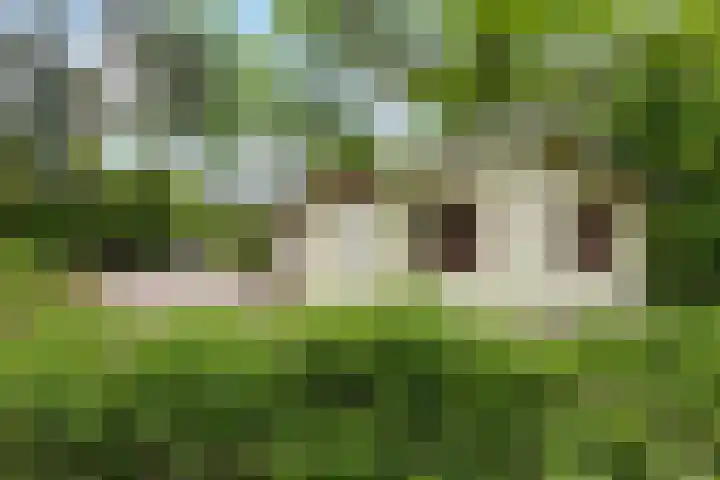 Kawoepersteeg 40 15 Ermelo thumbnail 30