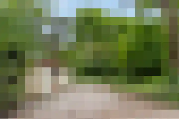 Kawoepersteeg 40 15 Ermelo thumbnail 32