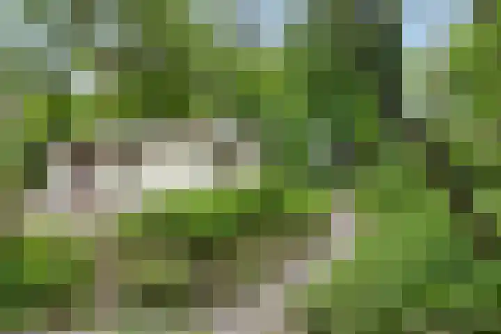 Kawoepersteeg 40 15 Ermelo thumbnail 33