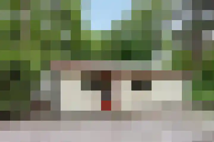 Kawoepersteeg 40 15 Ermelo thumbnail 35