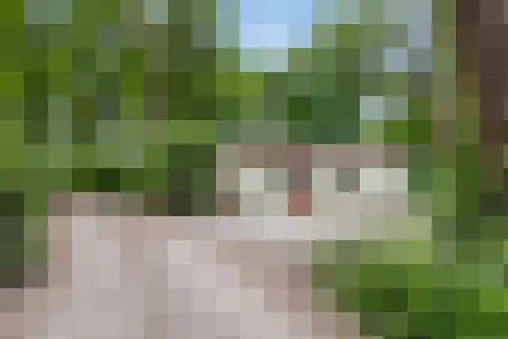 Kawoepersteeg 40 15 Ermelo thumbnail 36