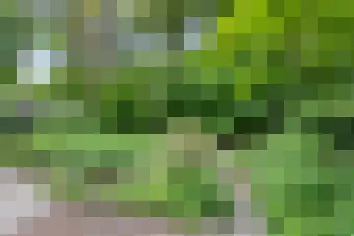 Kawoepersteeg 40 15 Ermelo thumbnail 37