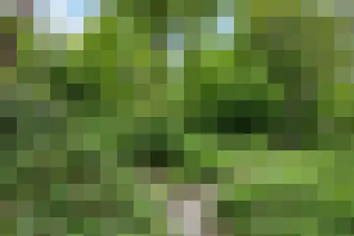 Kawoepersteeg 40 15 Ermelo thumbnail 38