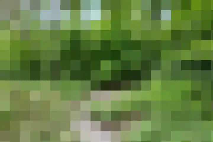 Kawoepersteeg 40 15 Ermelo thumbnail 39