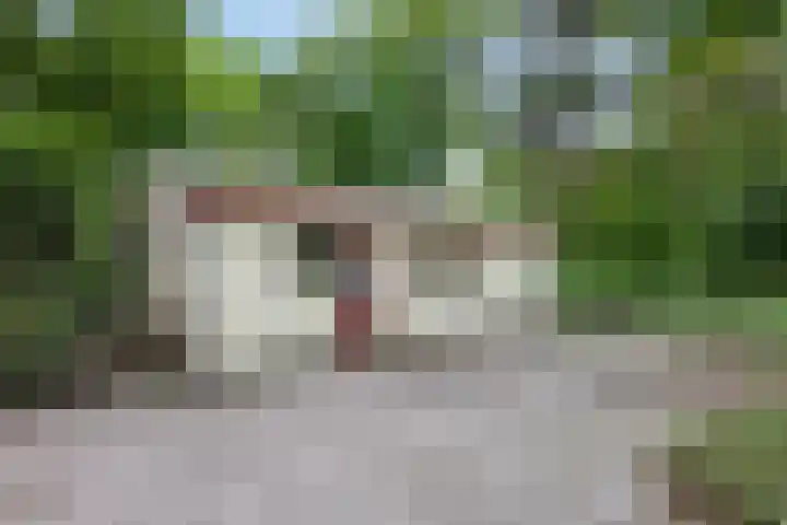 Kawoepersteeg 40 15 Ermelo thumbnail 4