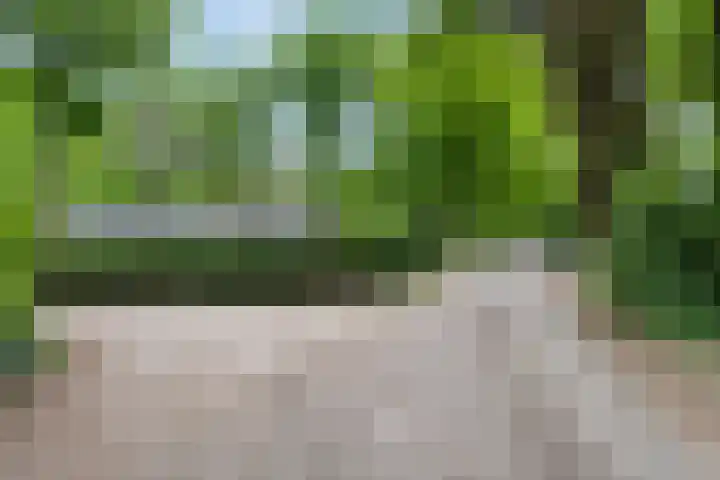 Kawoepersteeg 40 15 Ermelo thumbnail 40