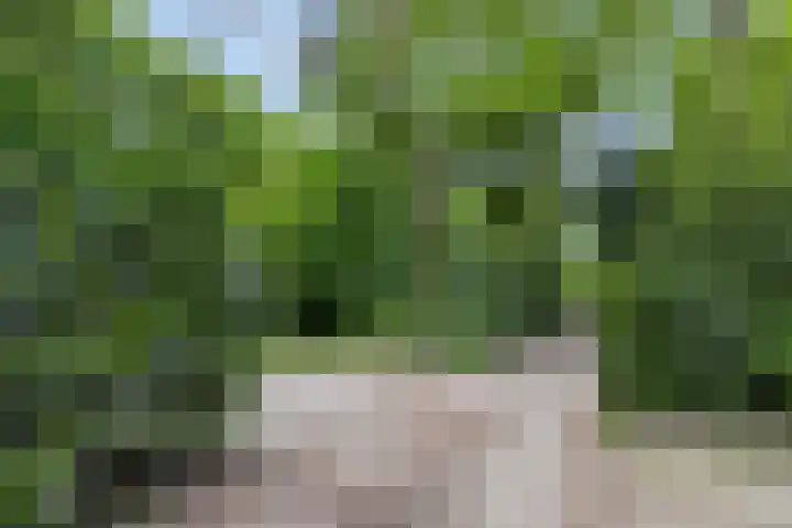 Kawoepersteeg 40 15 Ermelo thumbnail 41