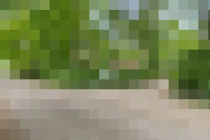 Kawoepersteeg 40 15 Ermelo thumbnail 42