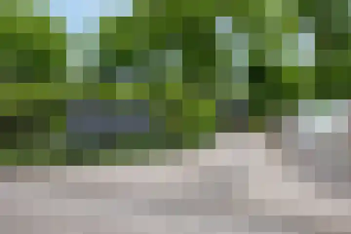 Kawoepersteeg 40 15 Ermelo thumbnail 43