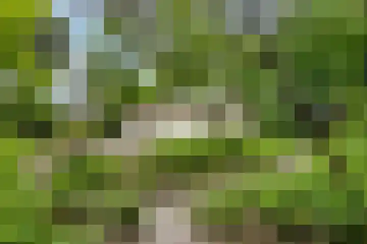 Kawoepersteeg 40 15 Ermelo thumbnail 47