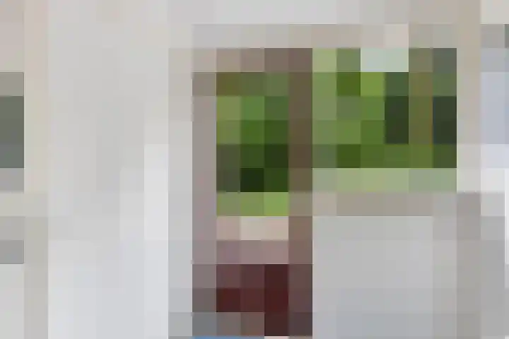Kawoepersteeg 40 15 Ermelo thumbnail 5