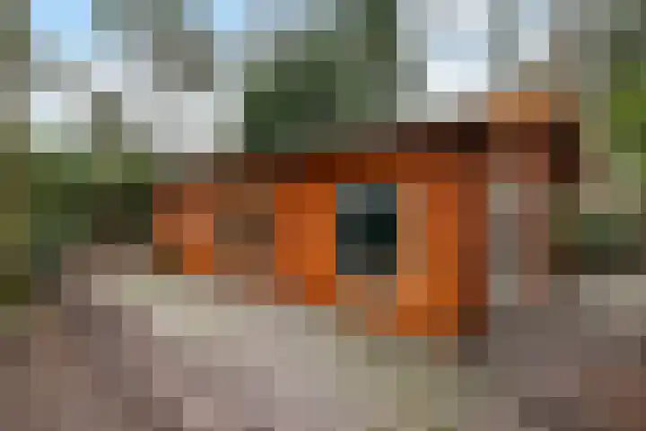 Kawoepersteeg 40 38 Ermelo thumbnail 48