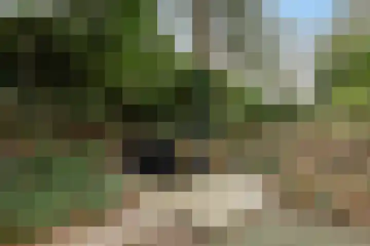 Kawoepersteeg 40 38 Ermelo thumbnail 51